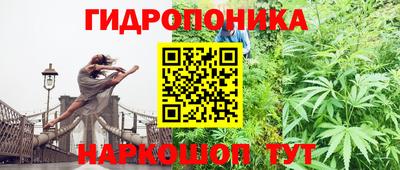 прущие крисы Новокубанск