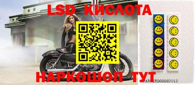 прущие крисы Новокубанск