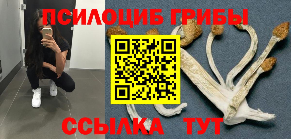 Галлюциногенные грибы GOLDEN TEACHER  Вход с VPN  Севастополь 